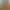 Blossoming Reverie in the Flower - sea AI effects generated image