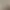 Image to Image AI effects generated image