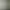 Image to Image AI effects generated image