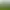 Image to Image AI effects generated image